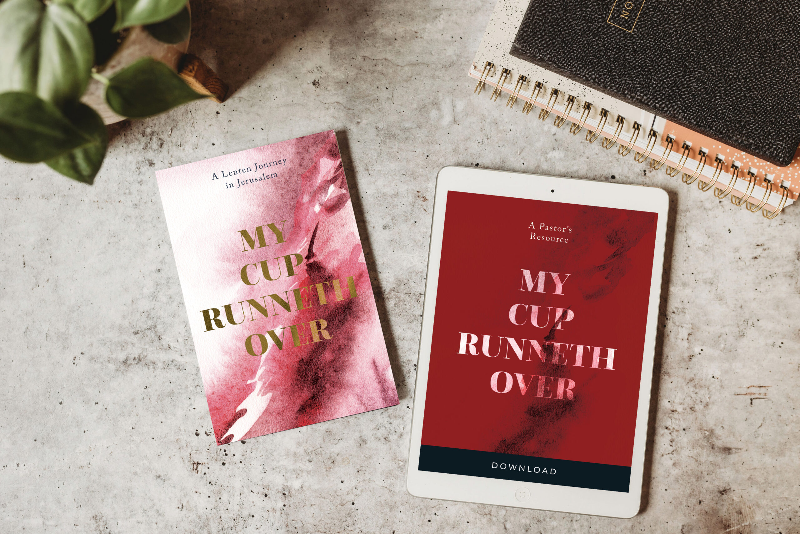 Plan for Lent Explore Our New 2025 Devotional and Other Resources