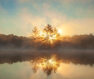 Advent Devotional Light in the Darkness