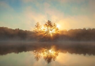 Advent Devotional Light in the Darkness